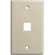 1-Port-Wall Plate 