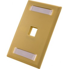 1-Port-Wall Plate With ID Window