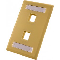 2-Port-Wall Plate With ID Window