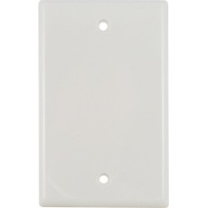 Blank Wall Plate -